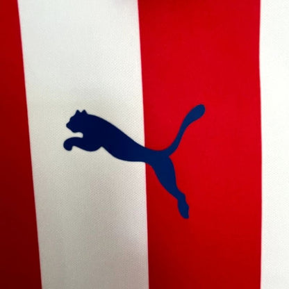Chivas 2016/17 thuisshirt retro voetbalshirt