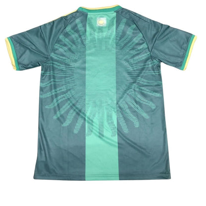 Argentinien x MESSI Torwarttrikot 2026 Grün